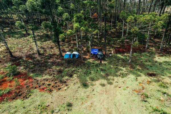 Quels animaux pouvez-vous rencontrer au zoo de Seine-et-Marne ?